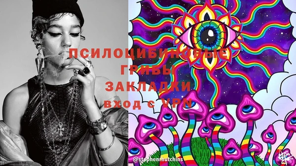 прущая мука Арсеньев