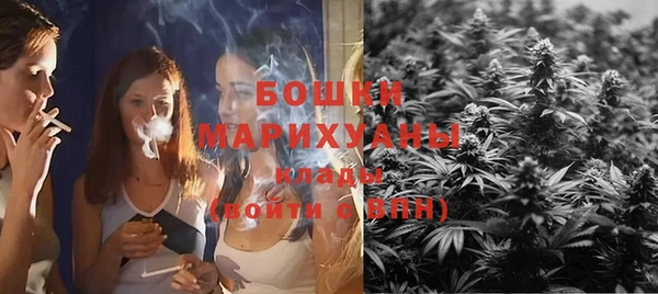 прущая мука Арсеньев